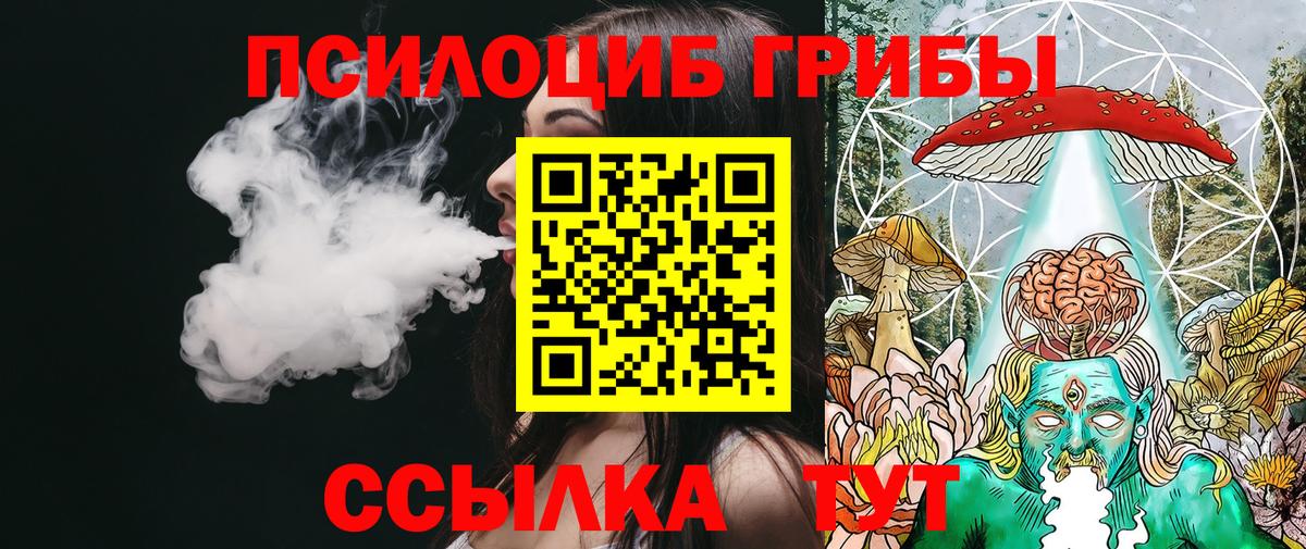 Псилоцибиновые грибы мицелий Архангельск